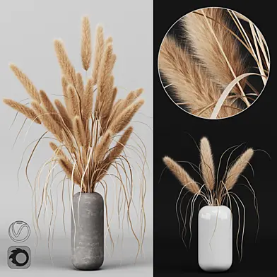 A bunch of Pampas 2