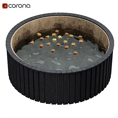 Garden pond