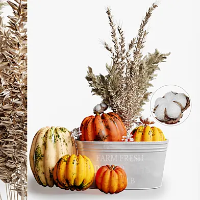 Decor with pumpkin