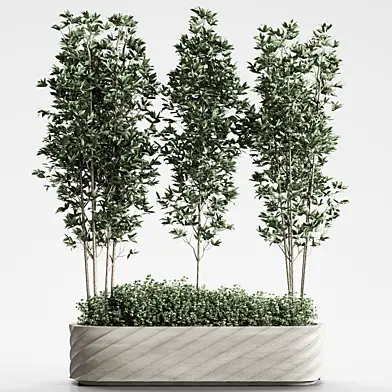 indoor plant set 16