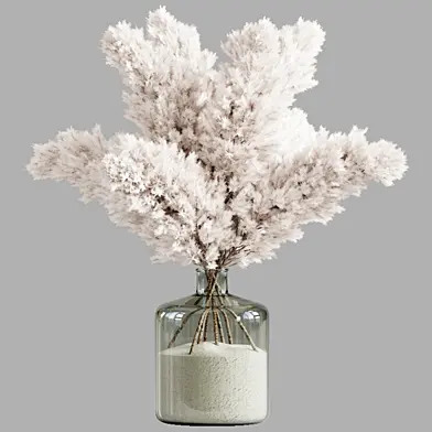 Pampas Interior 2