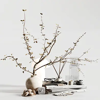 decorative set N010