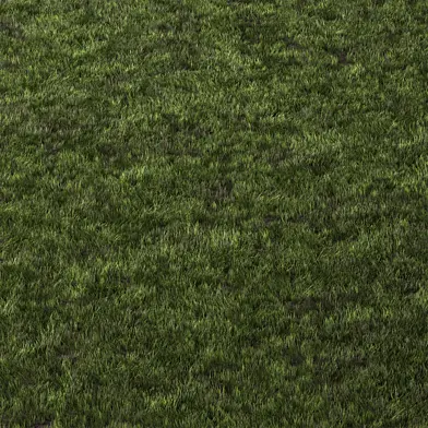 Short Park Grass Set 46