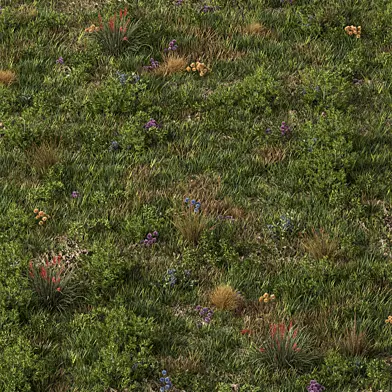 Spring Meadow Grass Set 51