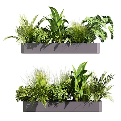 plant vol 1240 - box - banana - palm