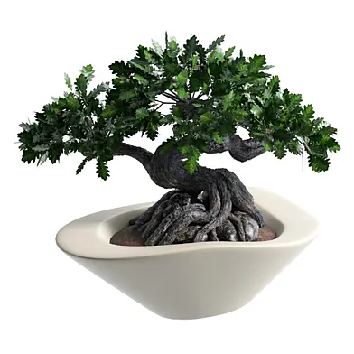 Bonsai Ceramic Planter Pot
