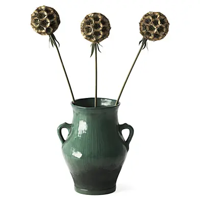 Bouquet of Scabiosa dried flowers in a ceramic vase