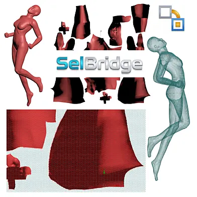Script for selection | SelBridge