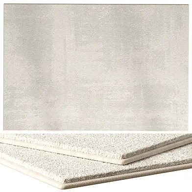 Rug for interior