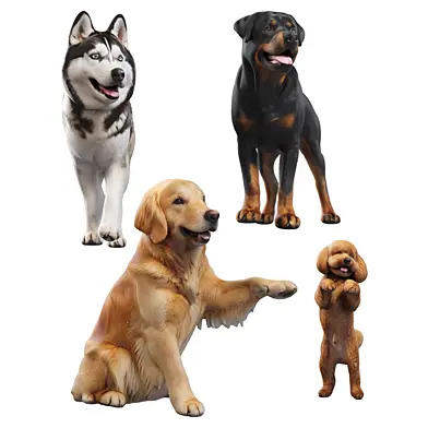 Home Dog Set