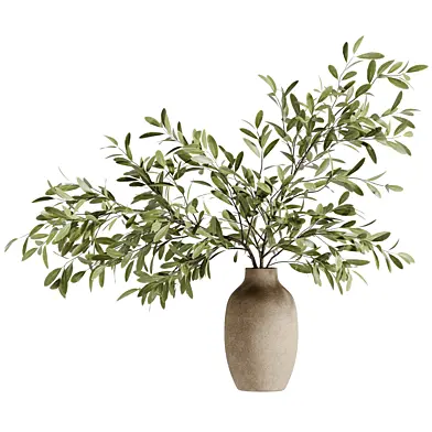 Olive Branch Bouquet in a Clay Pot 260