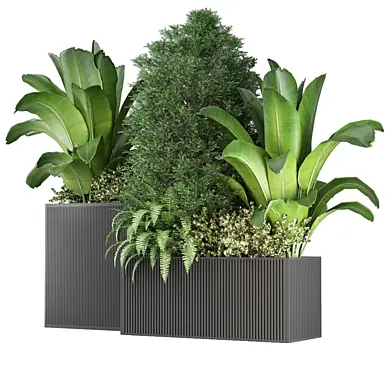 outdoor Plants Collection 2850
