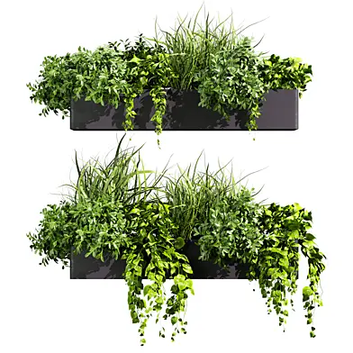 plant vol 1325 - indoor - bush - pothos - balcony
