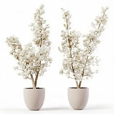 Seta Fiori-White Blossom Tree 04
