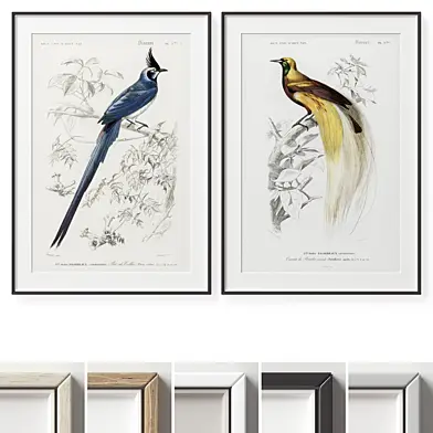Picture Frames Set -732