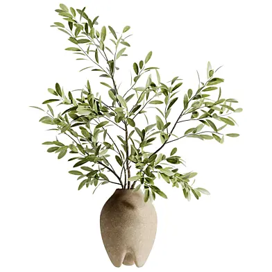 Olive Branch Bouquet in a Clay Pot 264