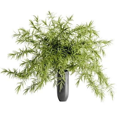Fern Bouquet in a Clay Pot 266