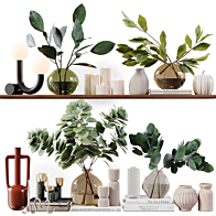 Curated visual reference: Visual Reference: Decorative Set 32 With Eucalyptus Plants Decorative Set