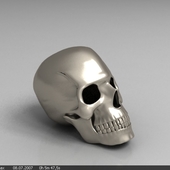 Metallic skull