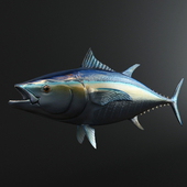 Tuna Fish