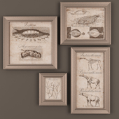 set of pictures