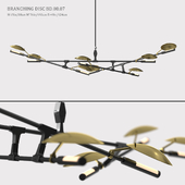 BRANCHING DISC BD.08.07
