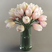 Tulips, Tulips