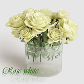 Rose white