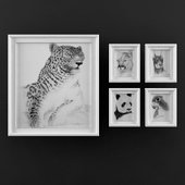 pictures_1