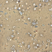 Seamless texture - beach sand