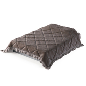 Blanket 32