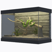 snake in the terrarium