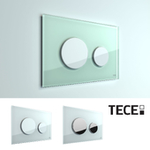TECE loop