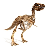 Skeleton of the Dinosaur Trex