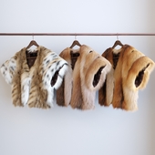 the 3 types of fur
