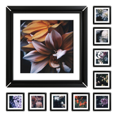 Flower posters