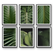 Tropical Leaves | set 31