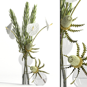 Banksia, anthurium and Leucadendron