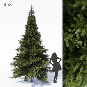 Prickly spruce 4m