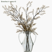 Branches in vases 40
