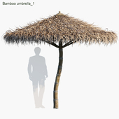 Bamboo umbrella tropical style 01