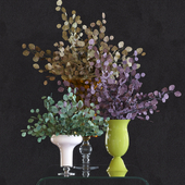 Eucalyptus Set1
