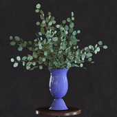 Eucalyptus Set2