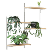 Houseplant set 1
