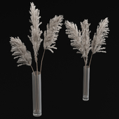 Pampas bouquets