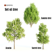 set of tree017-corona