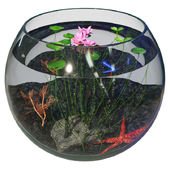Aquarium 001