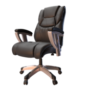 Head chair Bureaucrat T-9999