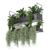 indoor hanging plants in metal box _set 0057