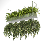 indoor hanging plants in metal box set 0066